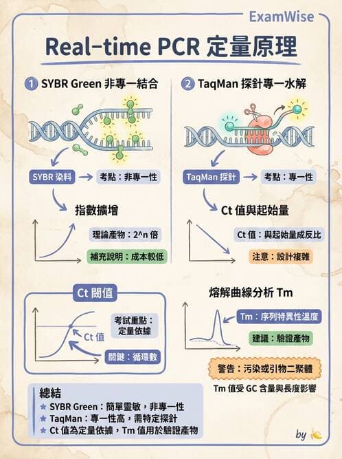 醫檢師 - 病毒檢驗技術 - AI 圖文解析預覽
