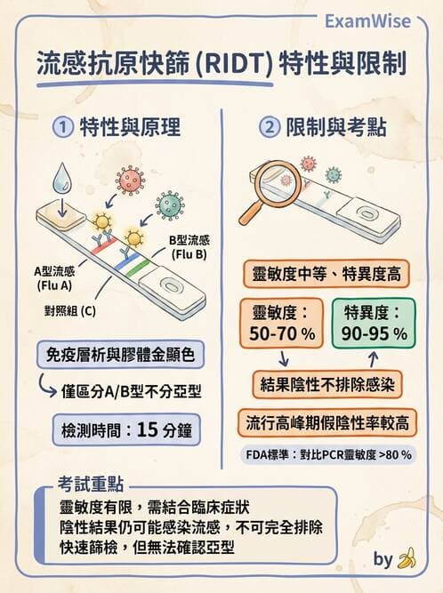 醫檢師 - 正黏液病毒科(流感) - AI 圖文解析預覽