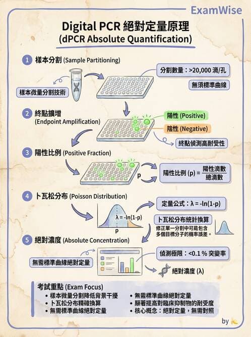 醫檢師 - 病毒檢驗技術 - AI 圖文解析預覽