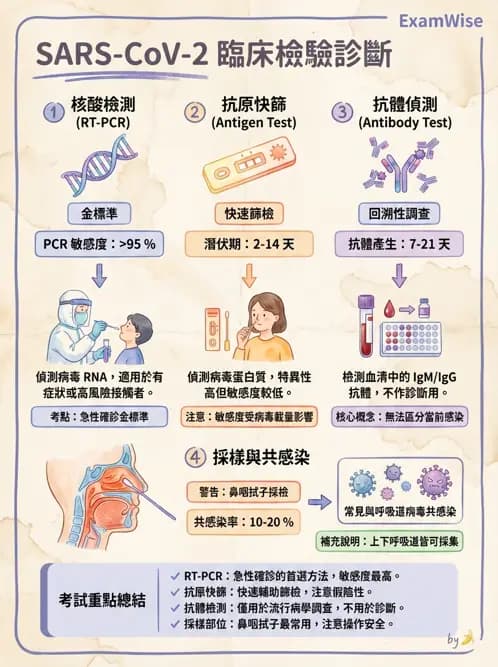 醫檢師 - 冠狀病毒科 - AI 圖文解析預覽