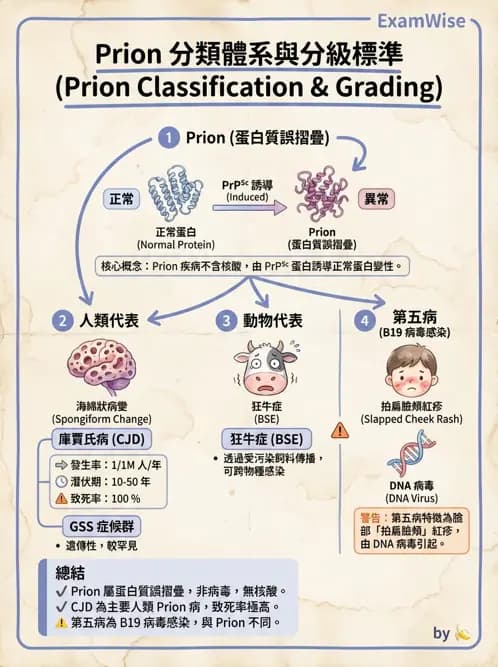 醫檢師 - 朊蛋白與其他DNA相關病原 - AI 圖文解析預覽