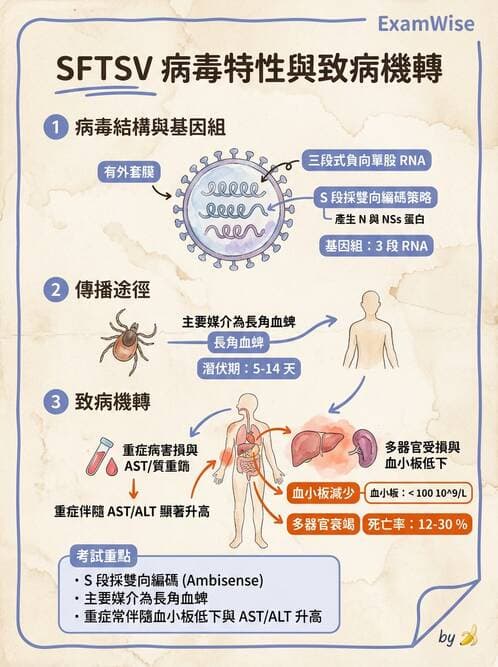 醫檢師 - 其他RNA病毒 - AI 圖文解析預覽