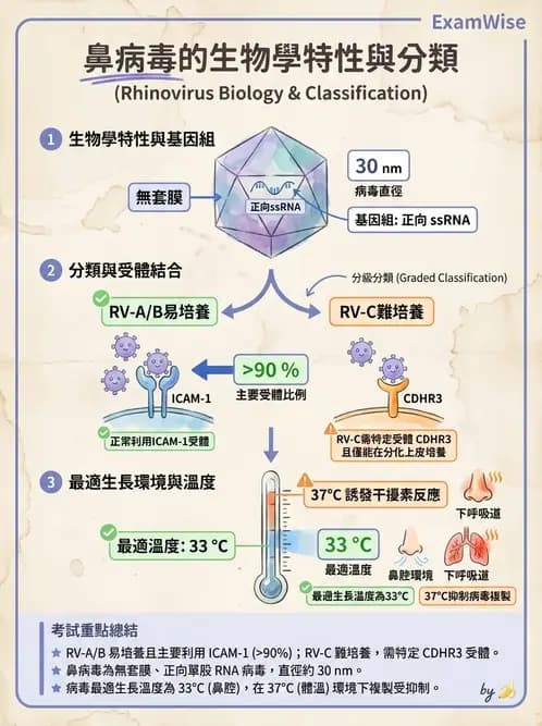 醫檢師 - 小RNA病毒科與腸道病毒 - AI 圖文解析預覽