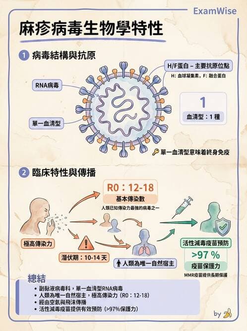 醫檢師 - 副黏液病毒科 - AI 圖文解析預覽