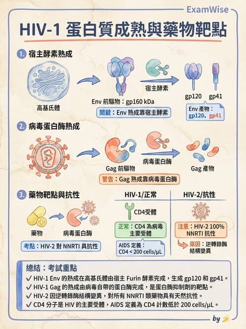 醫檢師 - 反轉錄病毒(HIV/HTLV) - AI 圖文解析預覽