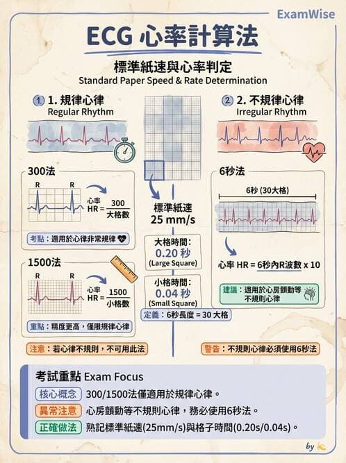 醫檢師 - 心電圖基礎與判讀 - AI 圖文解析預覽