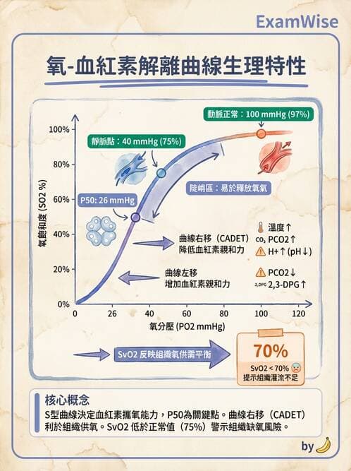 醫檢師 - 血液氣體分析 - AI 圖文解析預覽