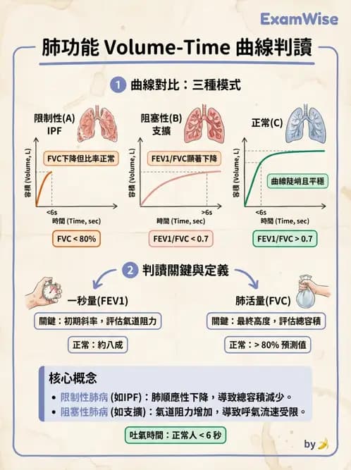 醫檢師 - 肺功能判讀與氣體交換 - AI 圖文解析預覽