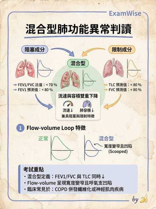 醫檢師 - 肺功能判讀與氣體交換 - AI 圖文解析預覽