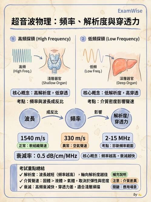 醫檢師 - 超音波檢查 - AI 圖文解析預覽