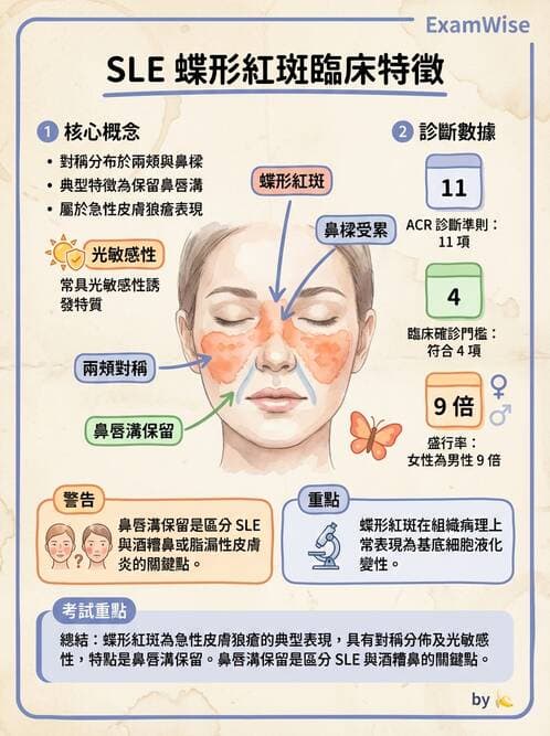 醫檢師 - 免疫疾病 - AI 圖文解析預覽