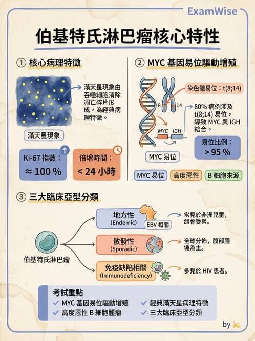 醫檢師 - 造血系統疾病 - AI 圖文解析預覽