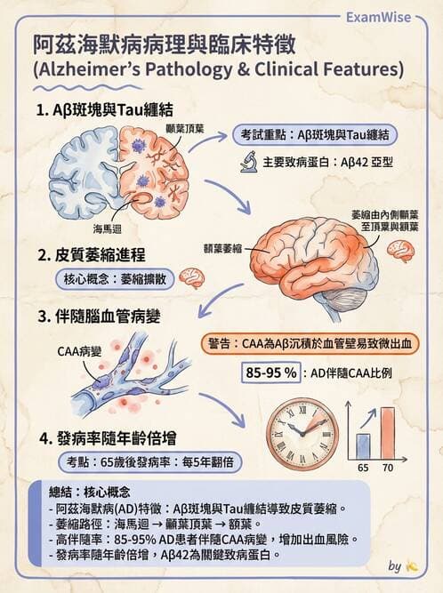 醫檢師 - 神經系統疾病 - AI 圖文解析預覽