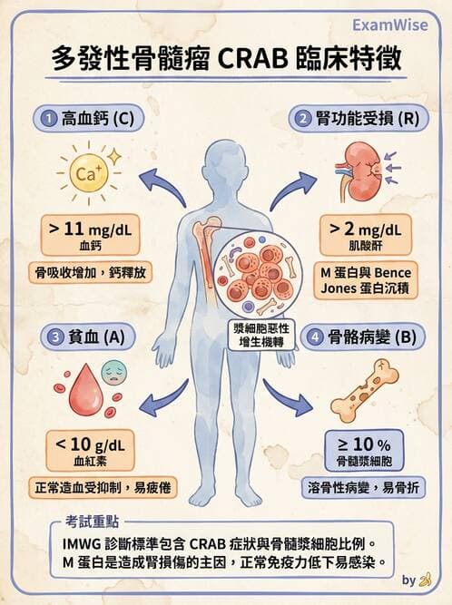 醫檢師 - 淋巴瘤、漿細胞疾病與白血球異常 - AI 圖文解析預覽