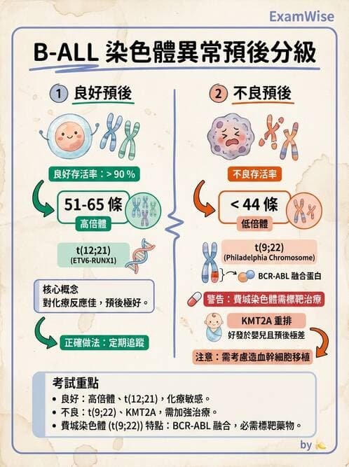 醫檢師 - 急性白血病 - AI 圖文解析預覽