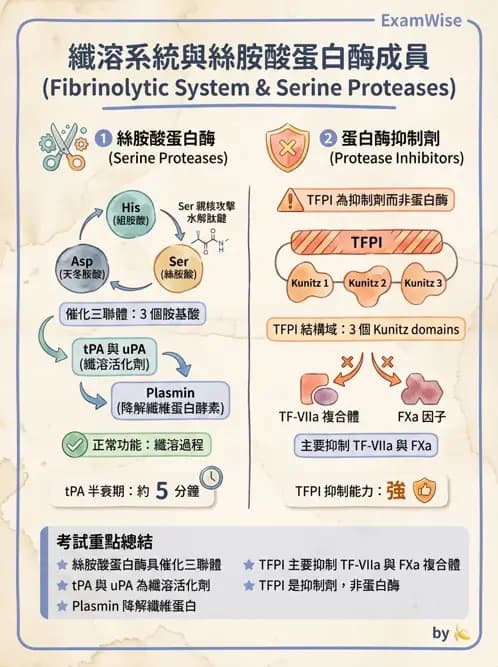 醫檢師 - 凝血因子與凝血檢驗 - AI 圖文解析預覽