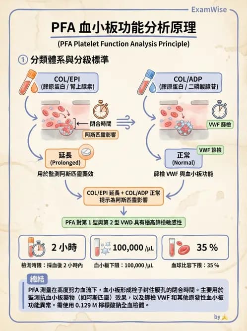 醫檢師 - 血小板與止血生理 - AI 圖文解析預覽