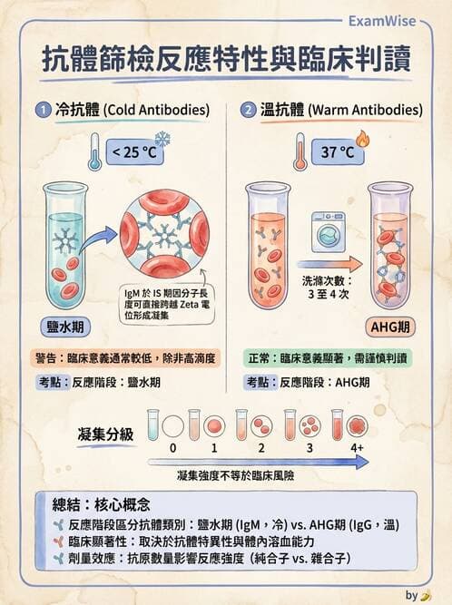 醫檢師 - 紅血球抗原與血型系統 - AI 圖文解析預覽