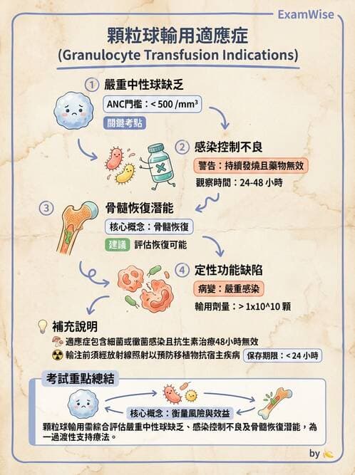 醫檢師 - 血液成分製備與輸血檢查 - AI 圖文解析預覽