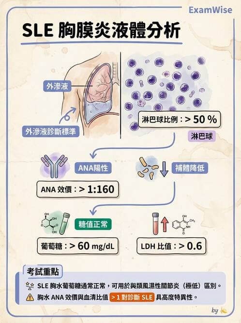醫檢師 - 穿刺液檢查 - AI 圖文解析預覽