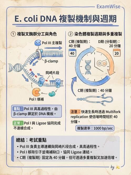 醫檢師 - 基礎分子生物學 - AI 圖文解析預覽