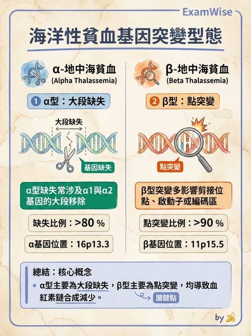 醫檢師 - 基礎分子生物學 - AI 圖文解析預覽