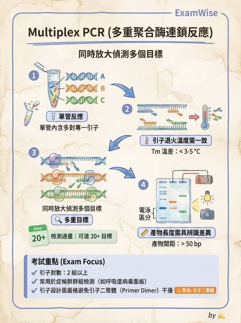 醫檢師 - 感染症分子檢驗 - AI 圖文解析預覽