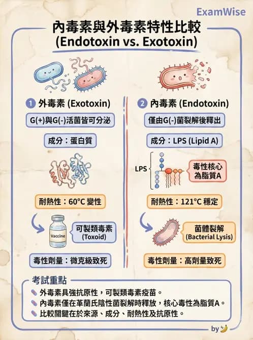 醫檢師 - 實驗室安全與微生物特性 - AI 圖文解析預覽