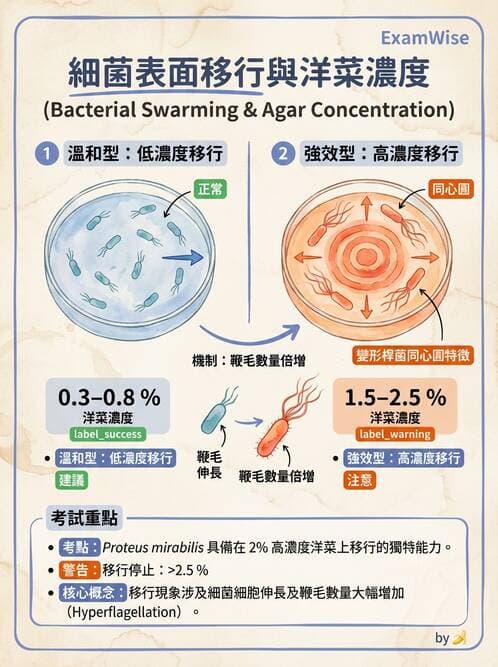 醫檢師 - 其他腸內菌科 - AI 圖文解析預覽