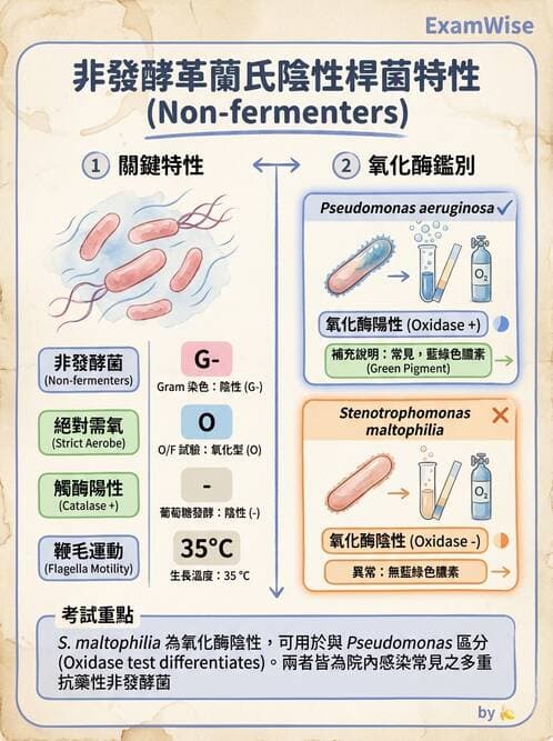醫檢師 - 非發酵菌 - AI 圖文解析預覽