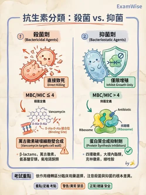 醫檢師 - 抗微生物製劑 - AI 圖文解析預覽