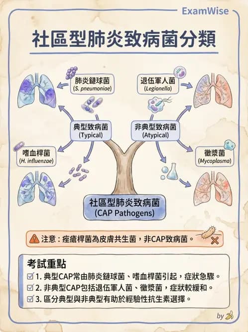 醫檢師 - 感染症與院內感染 - AI 圖文解析預覽
