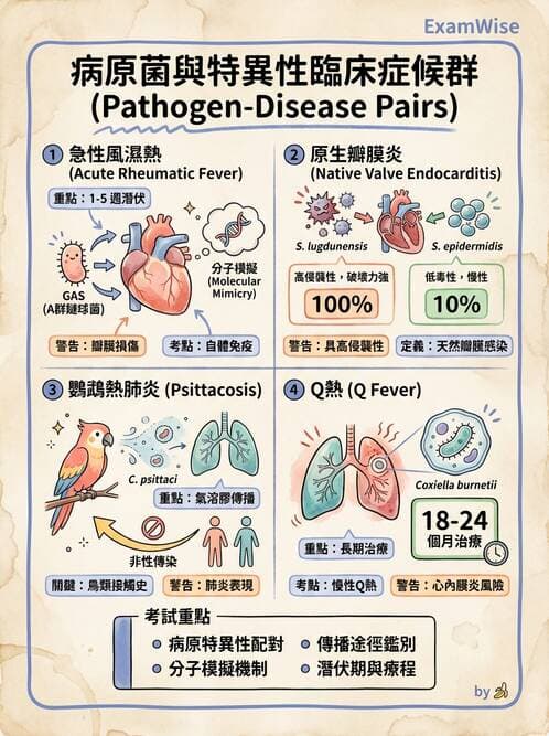 醫檢師 - 綜合性試題 - AI 圖文解析預覽