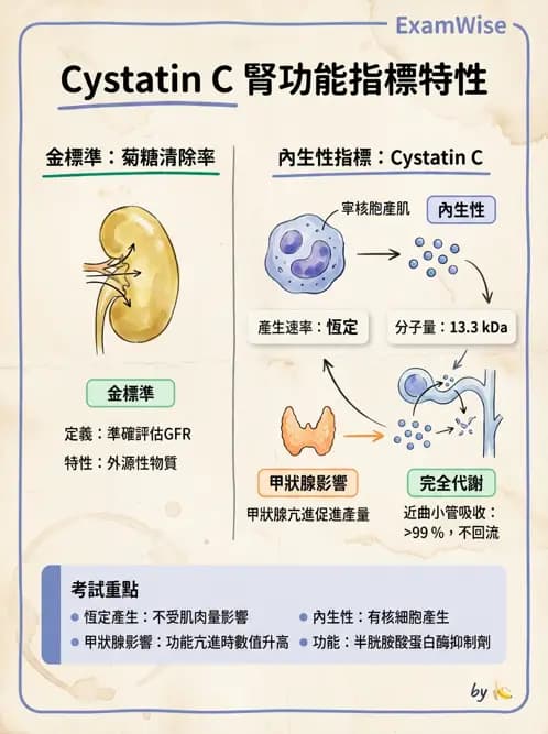 醫檢師 - 腎臟機能與代謝評估 - AI 圖文解析預覽