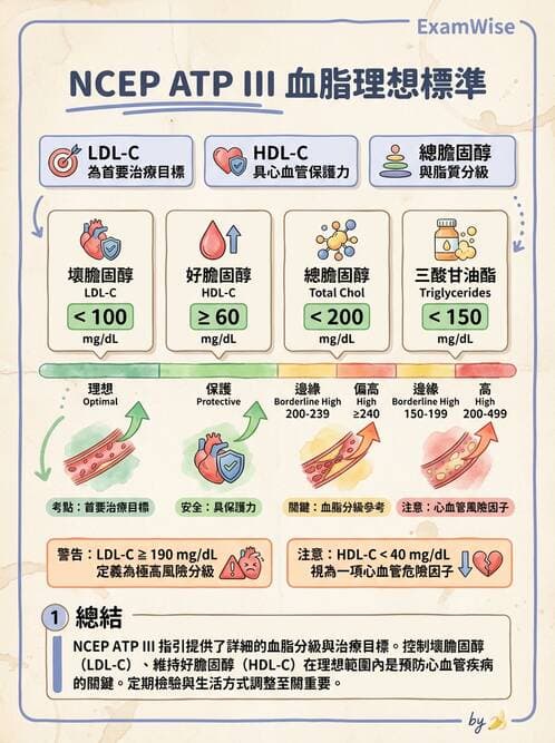 醫檢師 - 脂蛋白分類與臨床應用 - AI 圖文解析預覽