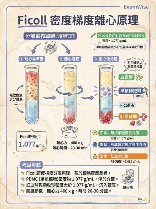 醫檢師 - 實驗室測試免疫法 - AI 圖文解析預覽