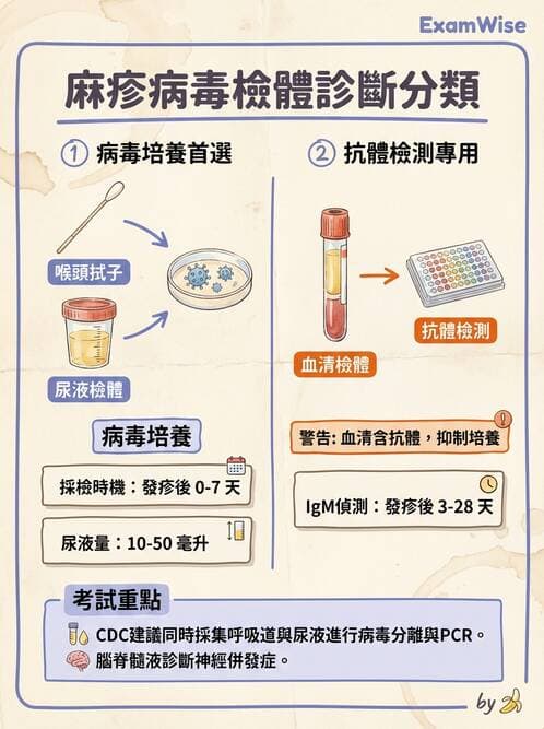 醫檢師 - 病毒檢驗技術 - AI 圖文解析預覽