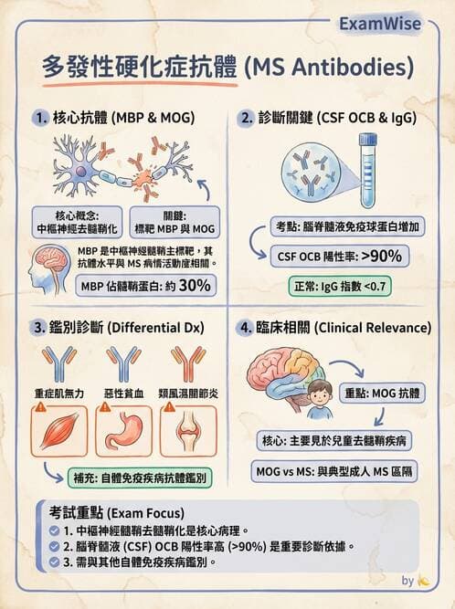 醫檢師 - 其他自體免疫疾病與自體抗體檢驗 - AI 圖文解析預覽