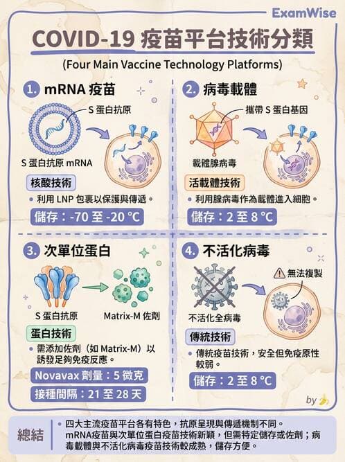 醫檢師 - 腫瘤免疫學免疫療法及疫苗 - AI 圖文解析預覽