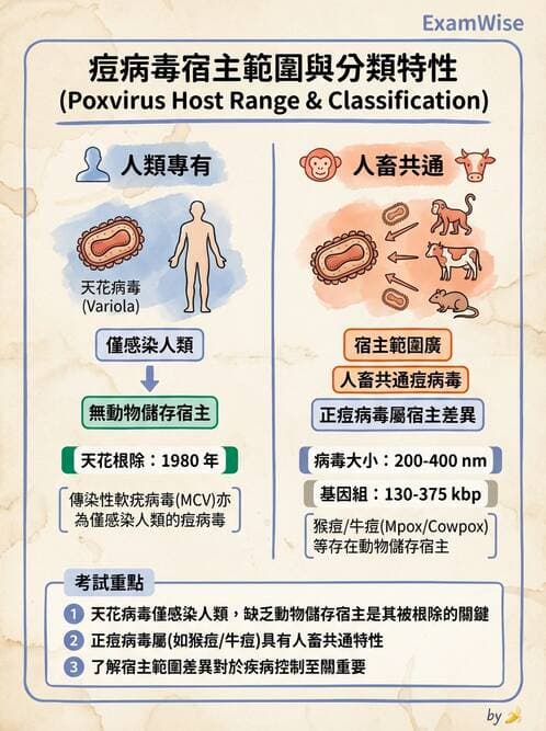 醫檢師 - 腺病毒與痘病毒 - AI 圖文解析預覽