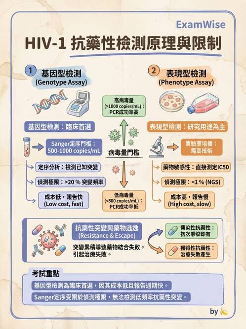 醫檢師 - 反轉錄病毒(HIV/HTLV) - AI 圖文解析預覽