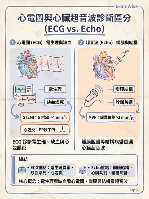 醫檢師 - 心電圖基礎與判讀 - AI 圖文解析預覽