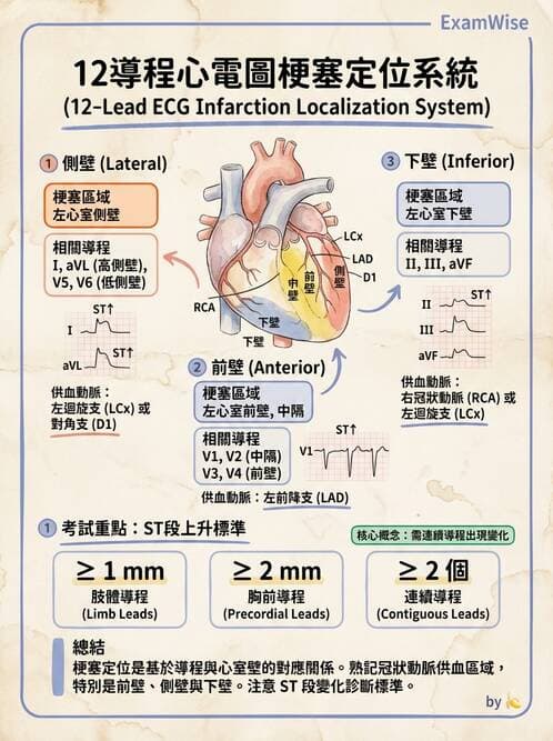 醫檢師 - 心肌病變與特殊心電圖 - AI 圖文解析預覽