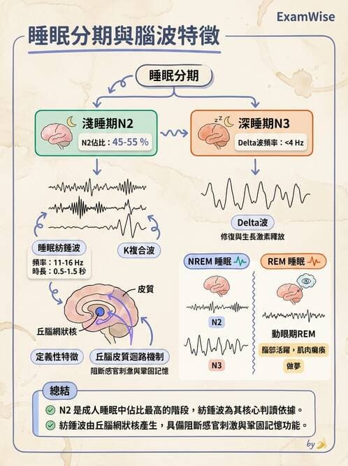 醫檢師 - 腦電圖檢查 - AI 圖文解析預覽