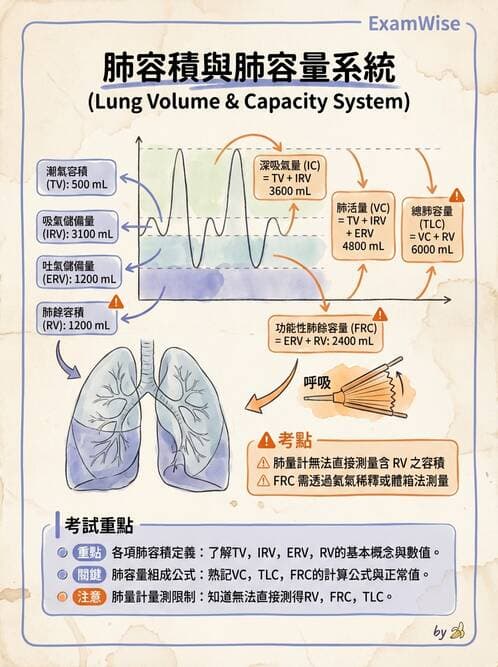 醫檢師 - 肺功能基礎與指標 - AI 圖文解析預覽