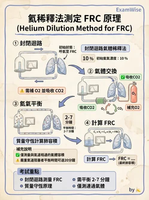 醫檢師 - 肺功能基礎與指標 - AI 圖文解析預覽