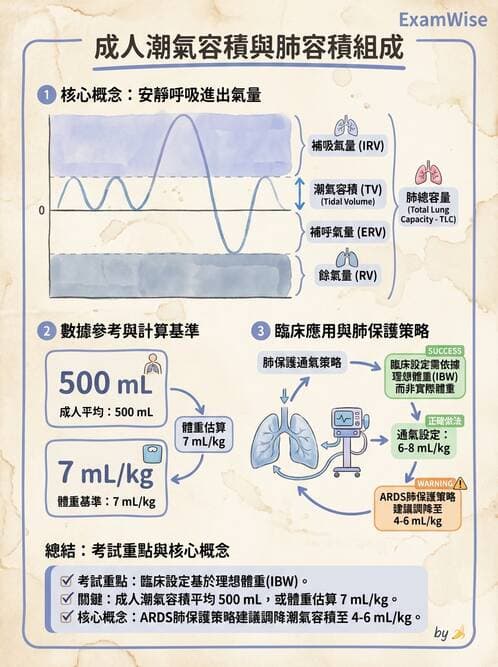 醫檢師 - 肺功能基礎與指標 - AI 圖文解析預覽