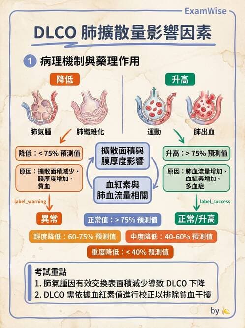 醫檢師 - 肺功能判讀與氣體交換 - AI 圖文解析預覽