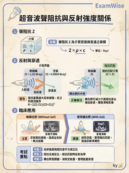醫檢師 - 超音波檢查 - AI 圖文解析預覽