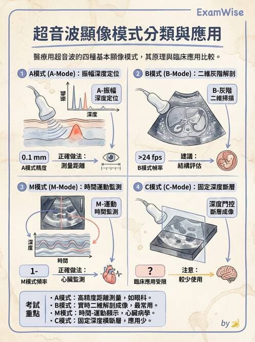 醫檢師 - 超音波檢查 - AI 圖文解析預覽